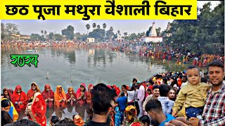 Chhath Puja Vlog 2024  Chhath Puja Vaishali Bihar  Bihar Famous Festival [upl. by Dranel281]