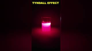 Tyndall Effect shorts [upl. by Acnaib]