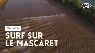 Surf sur le mascaret [upl. by Amye943]