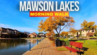 Morning Walk around the Lake at Mawson Lakes  Adelaide 4K [upl. by Hadik747]