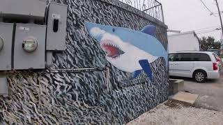 Around Tarpon Springs Sponge Docks in Tarpon Springs FL Christmas 2023 [upl. by Noired]