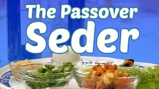 The Passover Seder What to Expect [upl. by Galateah]