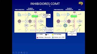 Antipsicoticos Antiparkinsonianos 4ta parte Final [upl. by Risser]