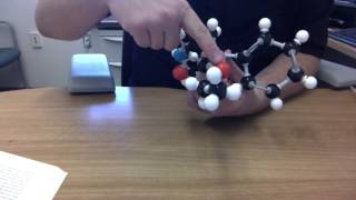 Introduction to the molecular structure of opioids part III [upl. by Ali]