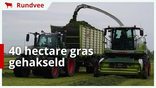 40 hectare gras gehakseld en ingekuild in HazerswoudeDorp [upl. by Keryt]