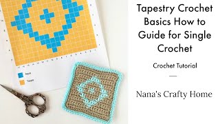 Tapestry Crochet Basics Guide Tips amp Tricks Tutorial [upl. by Meagan]