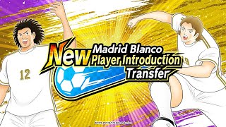 Un muro per la difesa  Campione o Bidone  Players Review Captain Tsubasa Dream Team [upl. by Bradshaw]