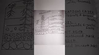 To analyze the soil profile [upl. by Nelag]