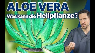 Studien über Aloe Vera Wirkung und Risiken aloevera aloeveraproducts aloin lrmastersteam [upl. by Luamaj672]