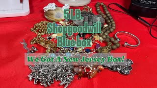 5 LB Shopgoodwill Bluebox New Jersey Box 🤞 [upl. by Elleirua]