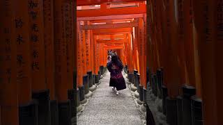 Fushimi Inari  Japan [upl. by Aicnorev]