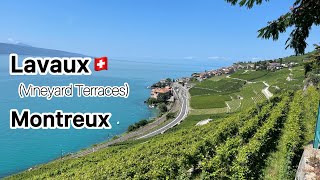 Lavaux Swiss  Montreux 🇨🇭 [upl. by Eilasor]