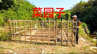 岛上的野牛🦬成群，制作一个围栏防止牛群破坏 [upl. by Jacquette]