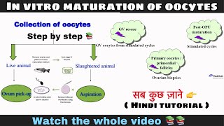 In vitro maturation of oocytes ll biology ll [upl. by Glaser]