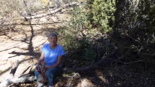 Apache Springs Cabin [upl. by Ermey]