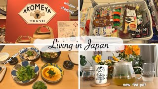 window shopping at AKOMEYA make a dinner to remember my roots new teapot  japan vlog [upl. by Remos]