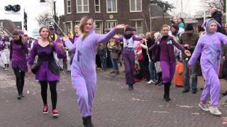 Carnaval Voorhout Drumfanfare Mavileo 2014 [upl. by Polash]