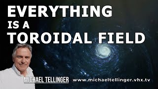 Everything Is A Toroidal Field [upl. by Yllod]