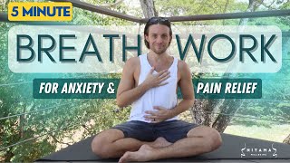 Breathwork For Anxiety amp Pain Relief  2 In Breaths amp 1 Out Breath [upl. by Assirim981]