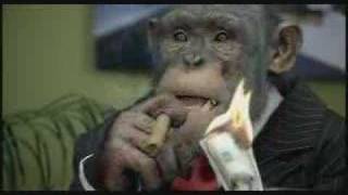 CareerBuildercom Monkey Business Up  Down Profitability [upl. by Nilson787]