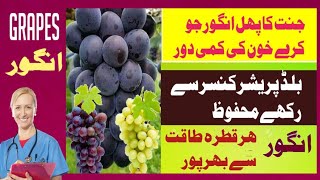 Angoor  Ke  Fayde Health  Benefits  Of Grapes  Black Angour Ke  Fayde [upl. by Harvard388]