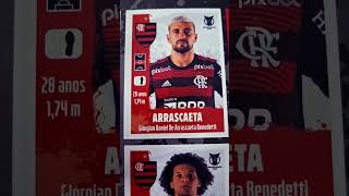 FLAMENGO BRASILEIRÃO 2022 ÁLBUM PANINI [upl. by Einnod]