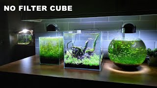 30ᶜᵐ CUBE AQUARIUM 🔴NO FILTER SETUP🔴 [upl. by Eanerb]