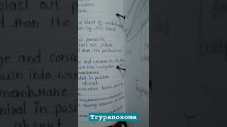 Trypanosoma practical notesBSc fifth semester notespractical noteszbc [upl. by Mcnalley]