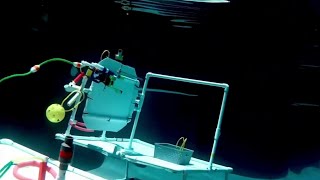 Mayport Middle students win international underwater robotics competition [upl. by Cobby]