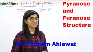 Pyranose and Furanose  Carbohydrates Glucose  Ribose Deoxyribose  Dr Poonam Ahlawat Biozooms [upl. by Gaughan]