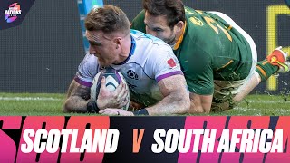 Scotland v South Africa  Extended Match Highlights  Autumn Nations Series [upl. by Addie]