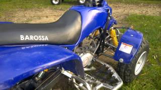 Barossa Cheetah 170ccm Sound [upl. by Goldia]