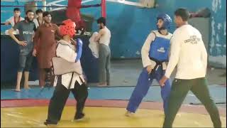 knockout Fight In  Taekwondo  JUDDO Karate [upl. by Sine]