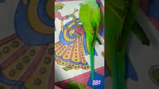 Ami je bb3 new songs status shortsfeed shorts youtubeshorts ytshorts trending cute funny [upl. by Bourn]