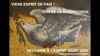 NEUVAINE À LESPRIT SAINT DON DE LA MISÉRICORDE [upl. by Donovan]