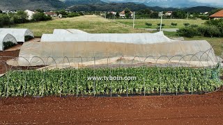 AKTUALE  Erërat e fuqishme shkaktuan dëme të konsiderueshme në zonën e Malësisë [upl. by Dhaf]