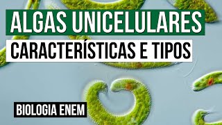 ALGAS UNICELULARES características e tipos  Biologia para o Enem  Cláudia de Souza Aguiar [upl. by Hynda]