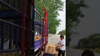 Wheat straw bundling machine [upl. by Mendelson564]