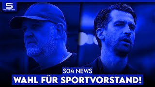 Sportvorstand soll kommen Entscheidung da Profil amp Kandidaten Wutrede gegen Geraerts  S04 NEWS [upl. by Zaccaria]