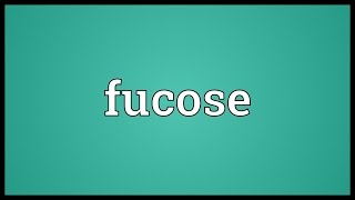 Fucose Meaning [upl. by Amer]