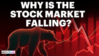 Should You Worry About The Stock Market Crash  Stock Market Down Reason [upl. by Saretta57]