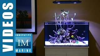 Lagoon Style Aquascaping  Lagoon 50 Gallon by Innovative Marine [upl. by Vladamar]