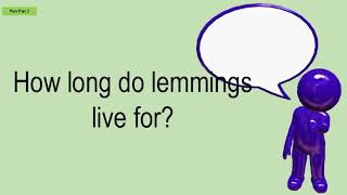 How Long Do Lemmings Live For [upl. by Arelc]