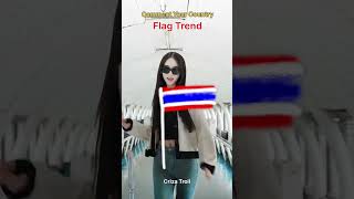 Flag Trend trollface edit troll [upl. by Eocsor89]