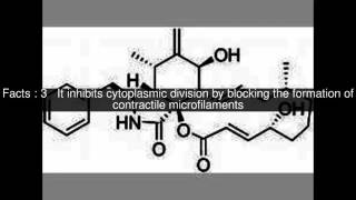 Cytochalasin B Top 7 Facts [upl. by Olihs]