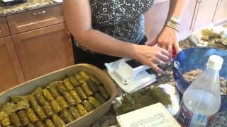 Using a Dolmades Machine  How to make Greek Dolmades or Dolmas [upl. by Isidro]