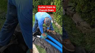 How to Run Downspout Drain to a French Drain The Easy way [upl. by Kendyl]