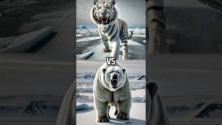 White Tiger VS Top Predators Vs Gorilla Grizzly Bear Leopard Wolf [upl. by Atalie120]