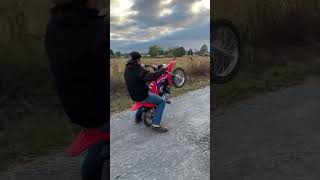 2022 CRF 110 CAN WHEELIE [upl. by Hyrup]