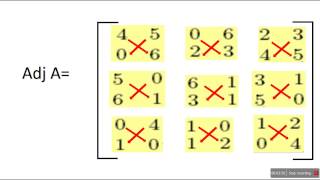 Adjoint of a 3X3 matrix [upl. by Eckblad616]